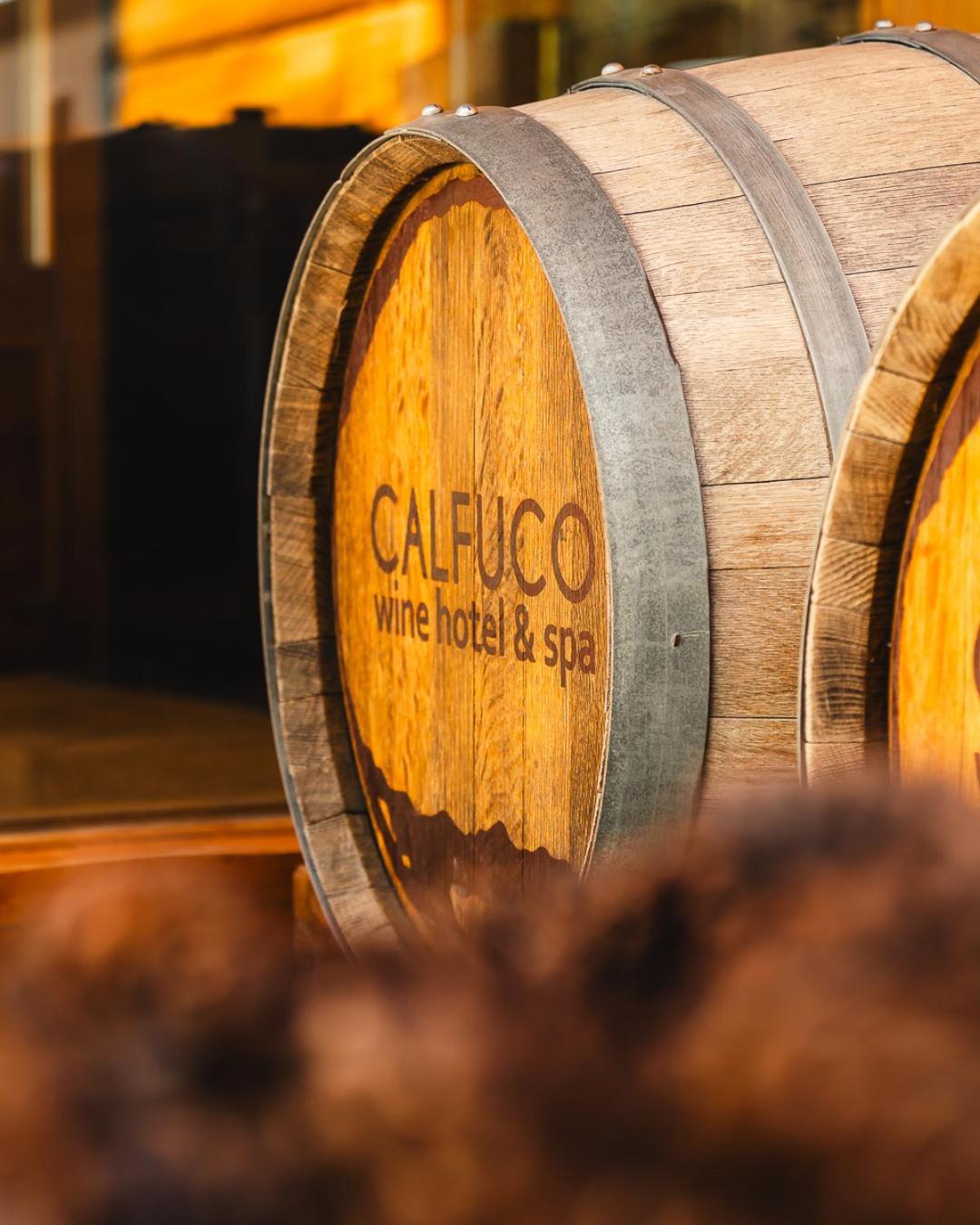 Calfuco Wine Hotel & Spa Пуэрто-Мансано Экстерьер фото